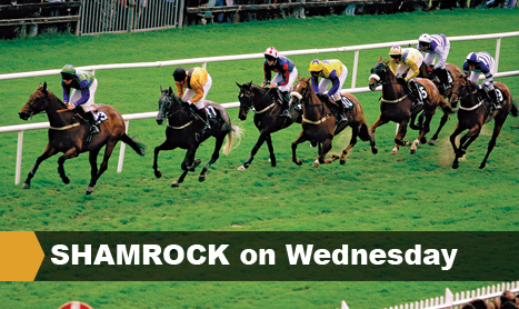 SHAMROCK on Wednesday
