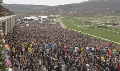 SHAMROCK on Thursday